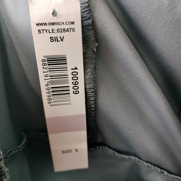 NWT R & M Richards Iridescent Silver Embroidered Fit & Flare Midi Dress Sz. 6 - Picture 14 of 14
